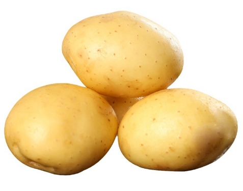 新鲜土豆整箱包邮小土豆农产品黄心马铃薯大蔬菜洋芋