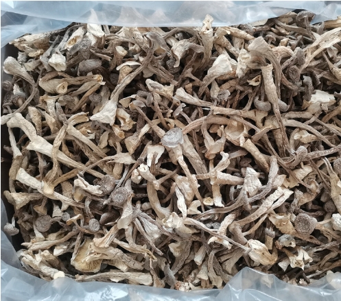 鹿茸菇鹿茸菌干货500g土特产农副产品食用菌酒店食材