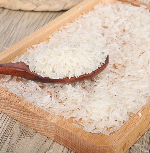 香稻米2024年新米大米整箱粮油农产品